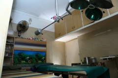 WL0A8534