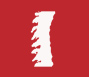 Orthopaedics
